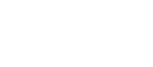 Orbit Travel eSIM Logo
